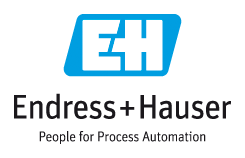 Logo ENDRESS+HAUSER
