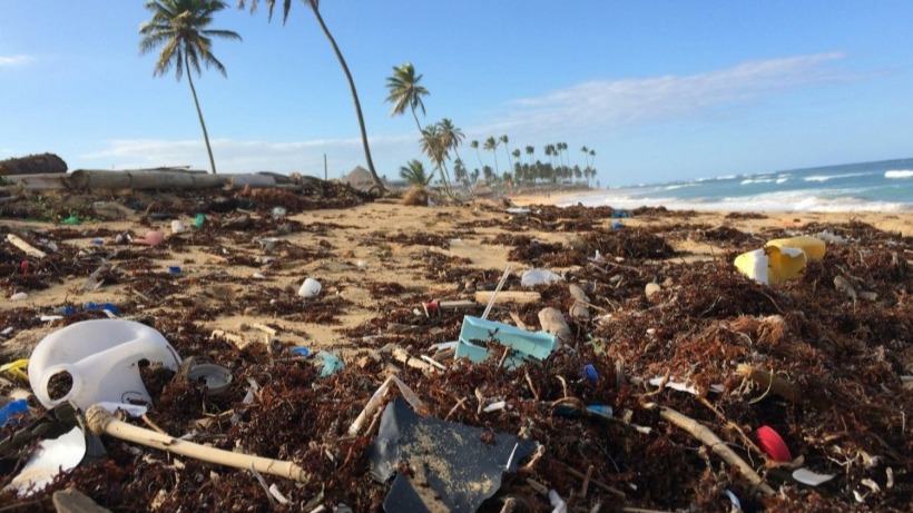Le plastique vivant aide à lutter contre le problème des déchets