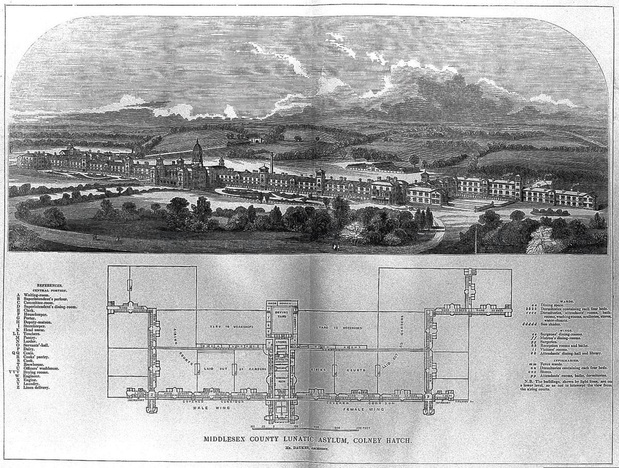 Geschiedenis van de ziekenhuisgang 