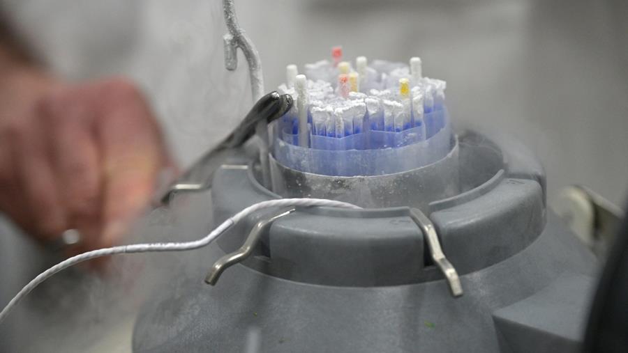 "Donorcrisis hakte er zwaar in"