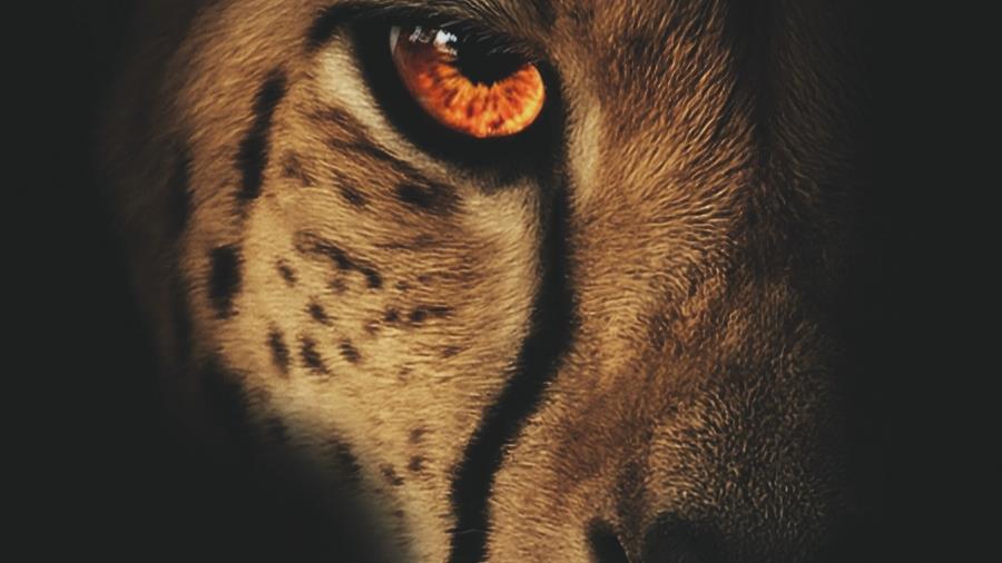 Les livres au printemps 2026